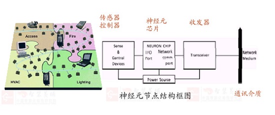 图5 LonWorks 神经元节点机构框图