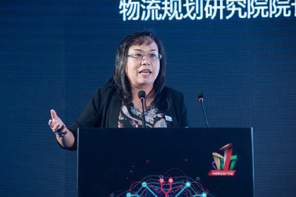 中国物流与采购联合会物流规划研究院院长李锦莹女士