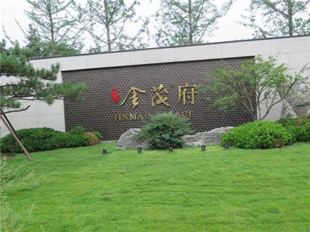 金茂 金茂