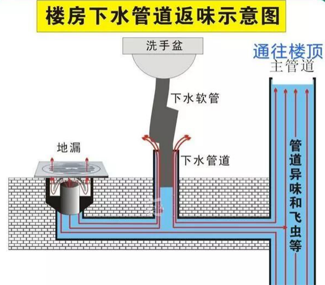 地漏里竟然藏着磁悬浮科技-卫鸿防臭地漏芯！