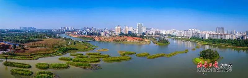 自豪！海口获评全球首批“国际湿地城市”！一大波美图感受一下