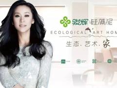 骏辉硅藻泥：醛净中国我们坚持到底！