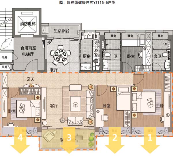 碧桂园健康住宅