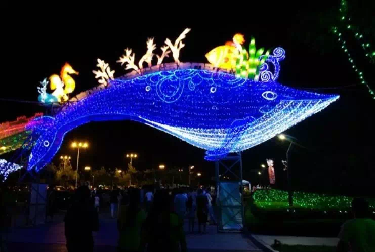 【碧桂园·天悦府】衡水最好玩的海洋梦幻灯光节,就等你来
