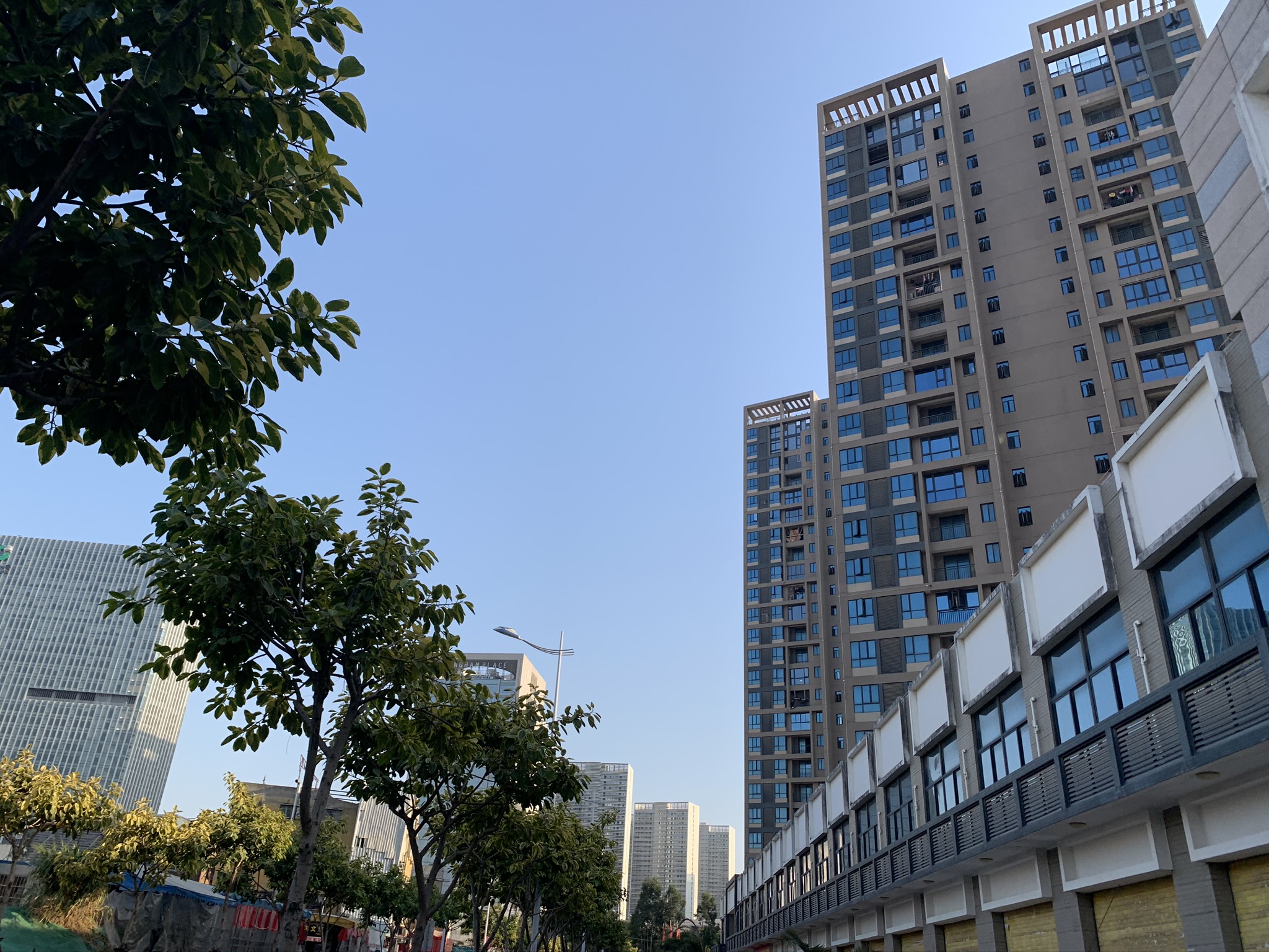 市场成交|1月16日厦门二手住宅成交135套 挂牌房源137套