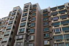 高度警惕部分城市房地产金融化