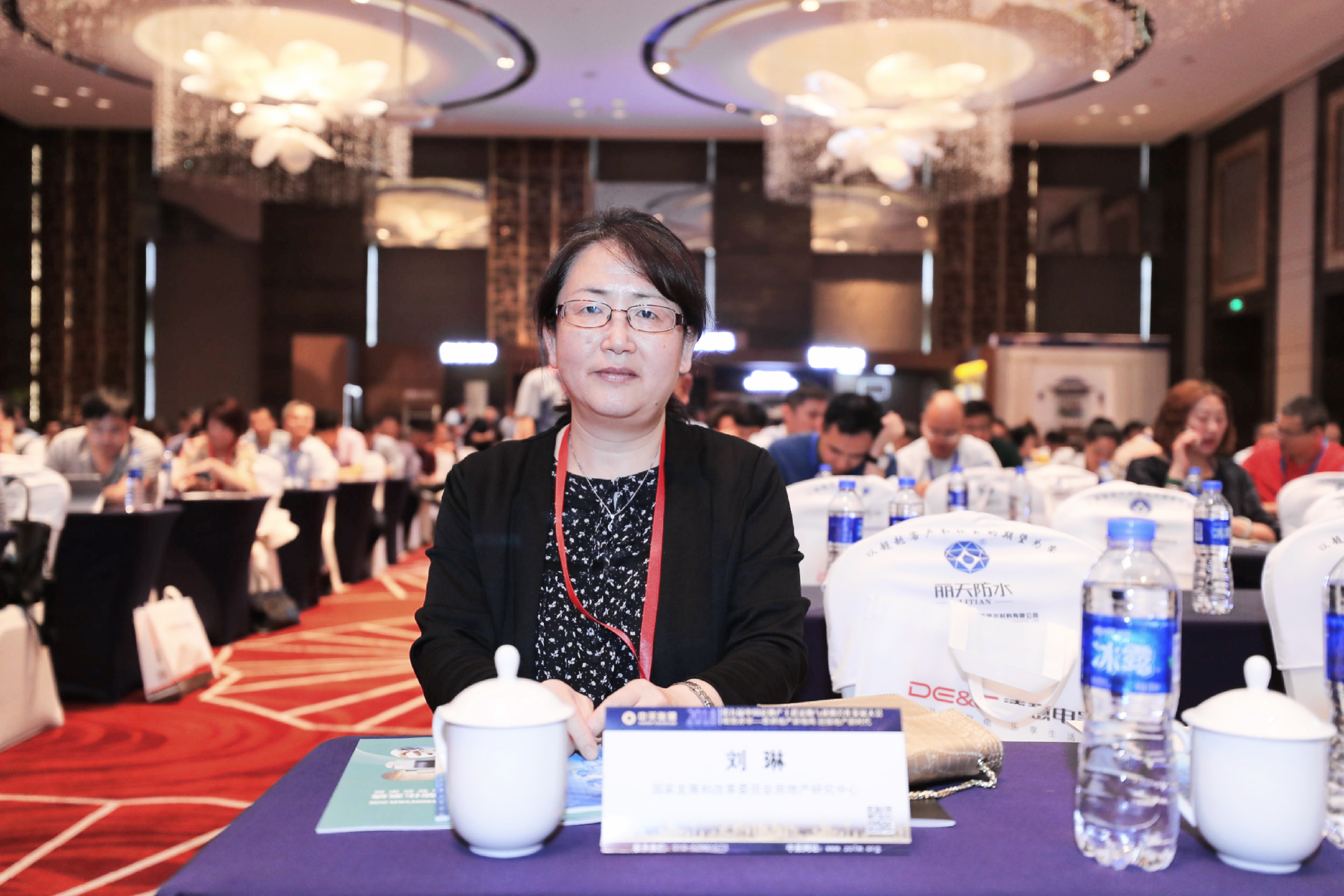 国家发革委房地产研究中心主任 刘琳女士