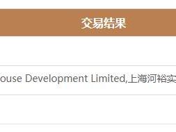 星河控股联手Costco 8.9841亿拿下浦东康桥地块