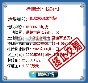温岭市东部新区北区DB200613地块挂牌出让终止公告