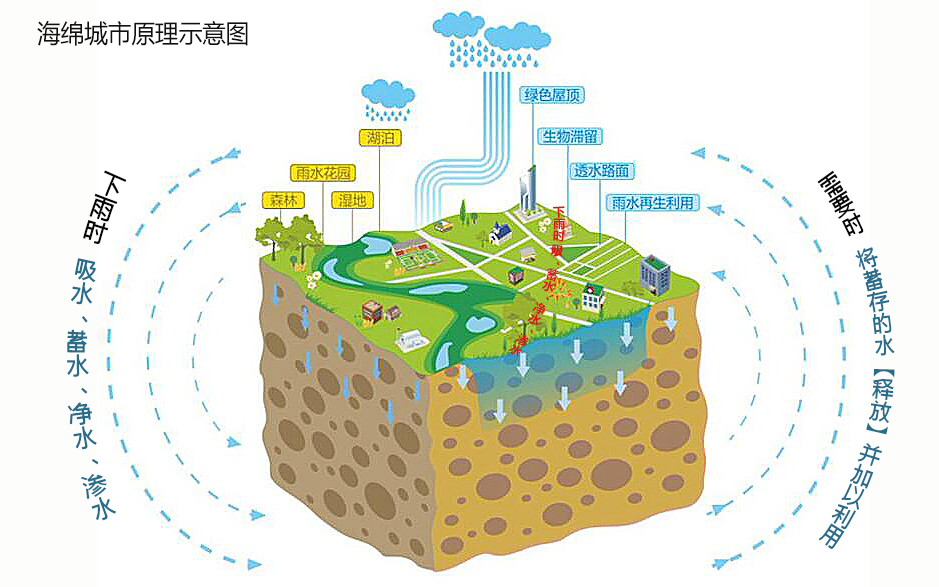 简单地讲,海绵建设为城市带来了贴心的吸水,蓄水,渗水,净水服务,在