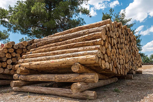 据测算，2020年，中国国内木材缺口或将达到2亿立方