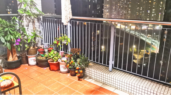 大阳台实景图