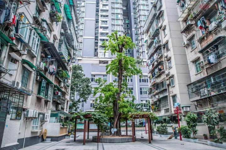 广州微改造②丨"绣花"功夫,让老旧小区更优雅