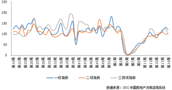 成交概览