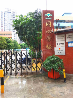 小区附近还有同心幼儿园、同心学校