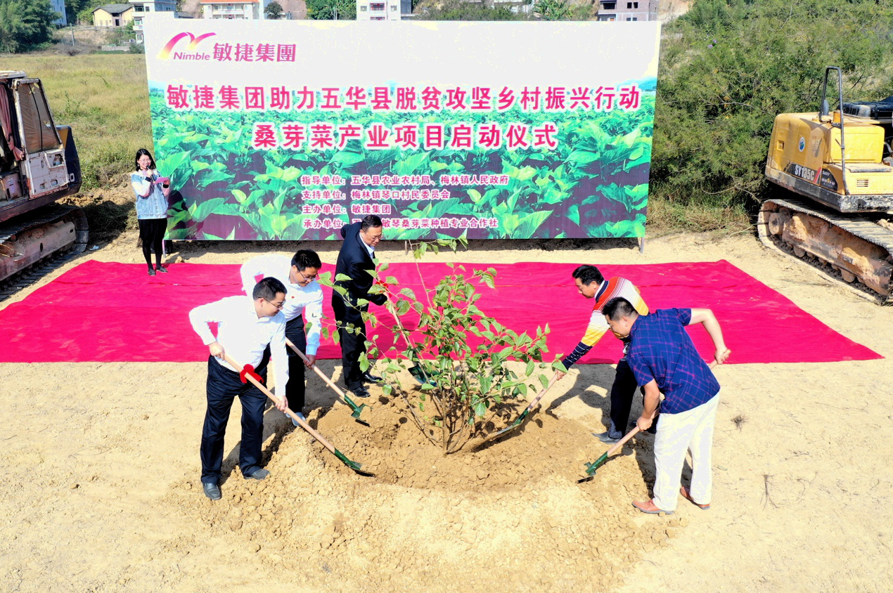 （敏捷集团五华桑芽菜产业扶贫项目启动仪式）