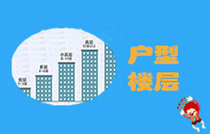 户型、楼层
