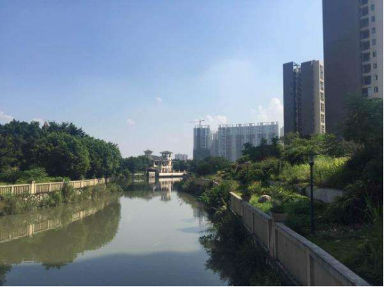 独享一线河景
