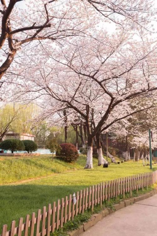 晴川阁