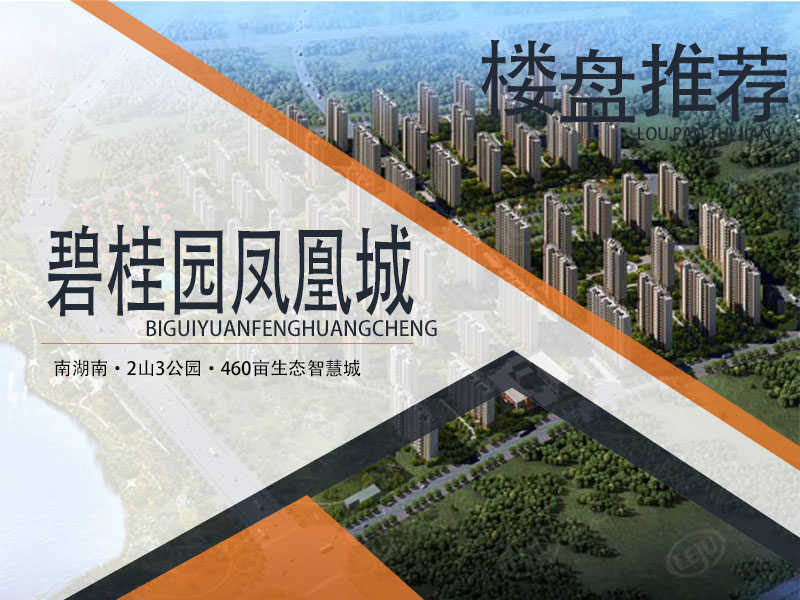 碧桂园凤凰城图解看房:繁华新南湖,生态智慧公园大境