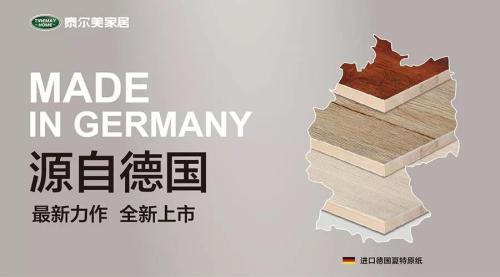 泰尔美