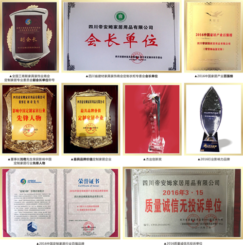 【帝安姆2016所获荣誉】