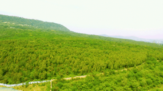 天安名郡背靠北部群山，独享城市稀缺资源