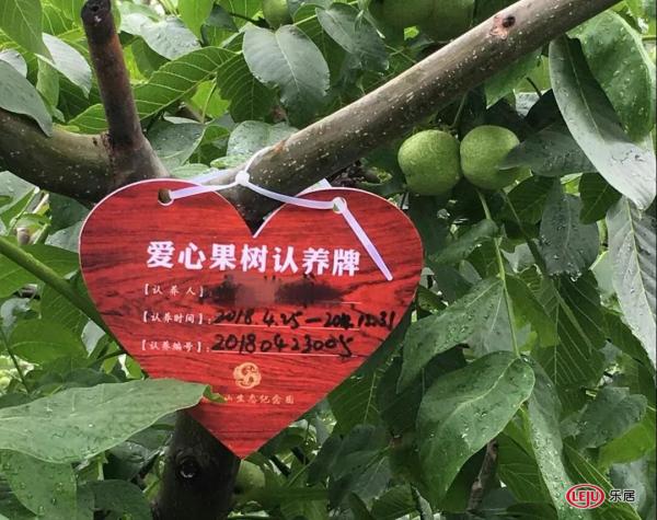 河洛古城果树认养爱心公益活动即将开启