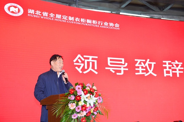湖北省社会组织总会文厅长致辞
