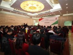 2017法恩莎瓷砖连续四年蝉联“陶瓷十大 ...