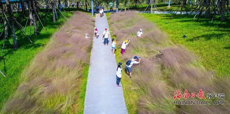 自豪！海口获评全球首批“国际湿地城市”！一大波美图感受一下
