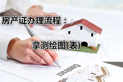 办证流程