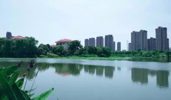 号外，常州惊现“时光盘”