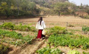 美女舍弃城里百万豪宅 回农村种地住窑洞