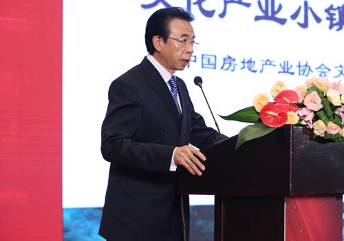 中国房地产业协会文化地产委员会秘书长 王嘉琦