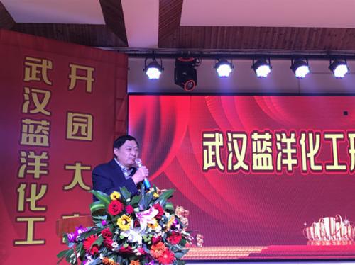 湖北省涂料工业协会常务副会长岳望坤