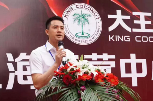 大王椰智环常务副总王先桂作开业致辞 