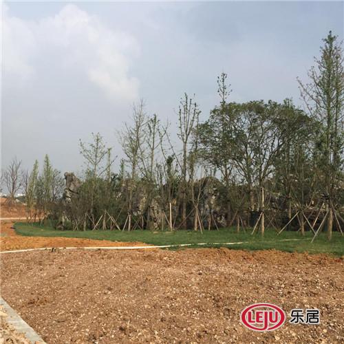 千园之城又现一景 广大城体育文化公园即将盛大开园