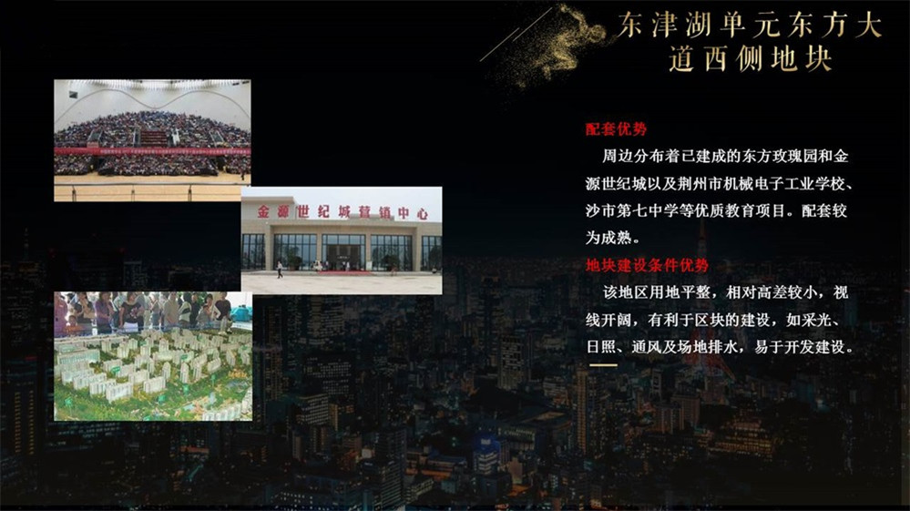 荆州2020年土地拍卖介绍之东津湖单元东方大道西侧地块