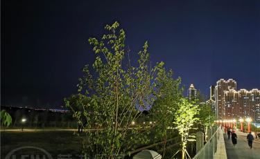 【高清】芜湖滨江公园二期夜景成网红地了？灯光绚丽美到爆！