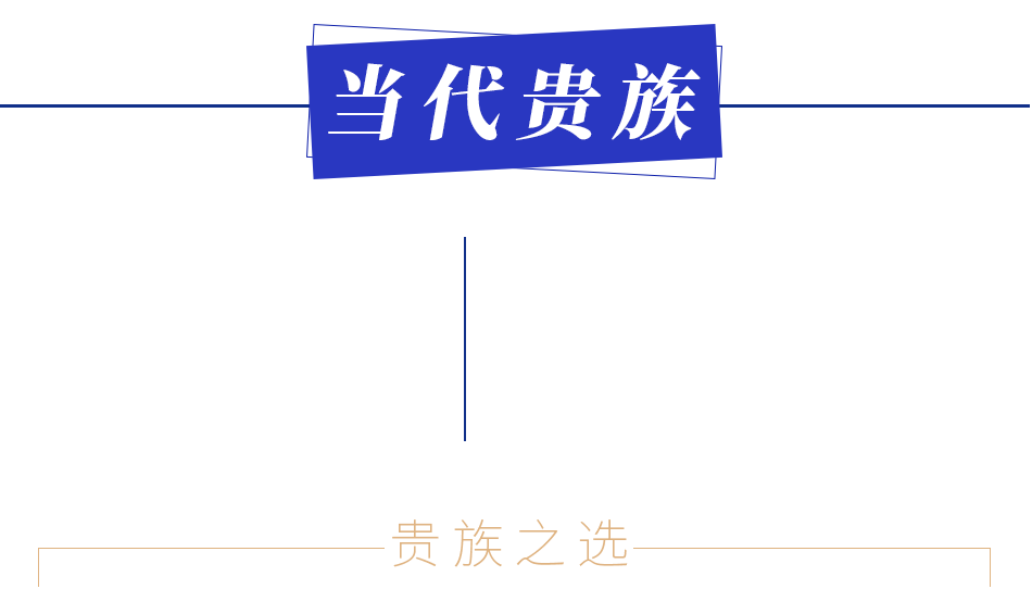 数据标题文字5