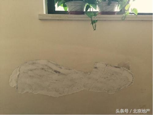 汤先生家北向墙壁被淹