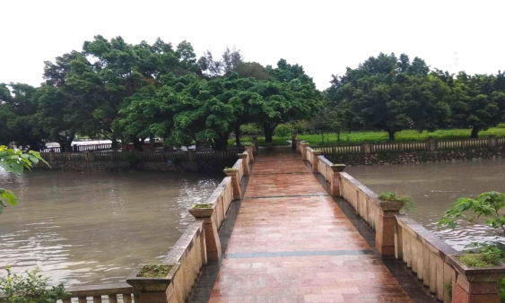 天马河湿地公园与小区隔着天马河