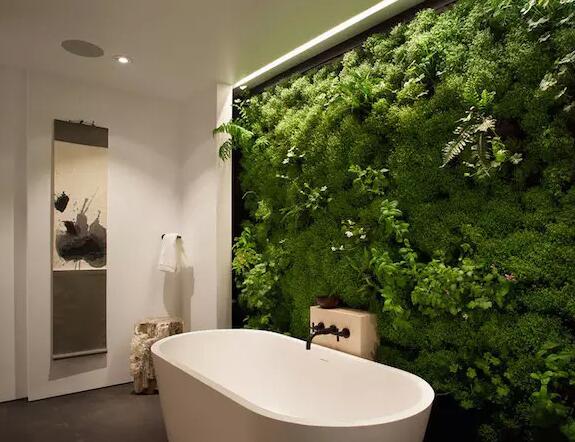 浴室里的苔藓墙