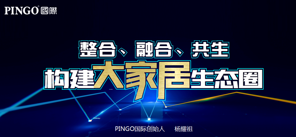 PINGO 国际