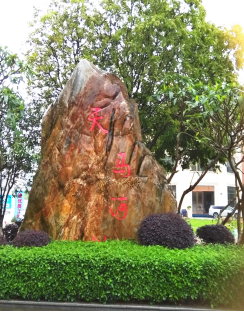 小区与天马河小学仅仅相隔了一座望亭桥