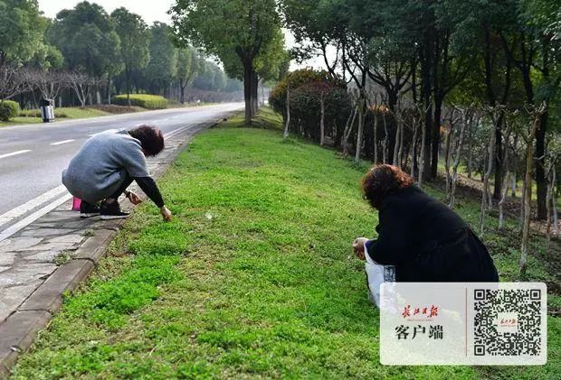 城表情|春花a表情萌萌可爱哒表情包下载图片