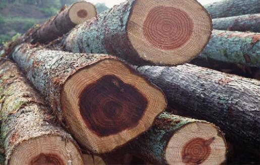 最新消息：红木主力用材逆市上涨10%-20%！