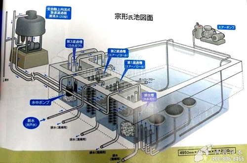 新闻中心 > 正文     还有一些塑料的室内鱼池过滤桶,泳池砂缸转型