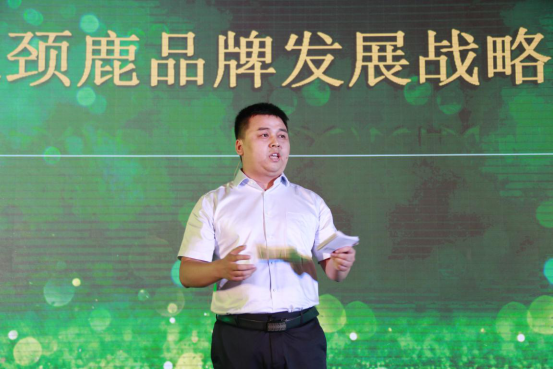   长颈鹿地板营销总监谭宏平